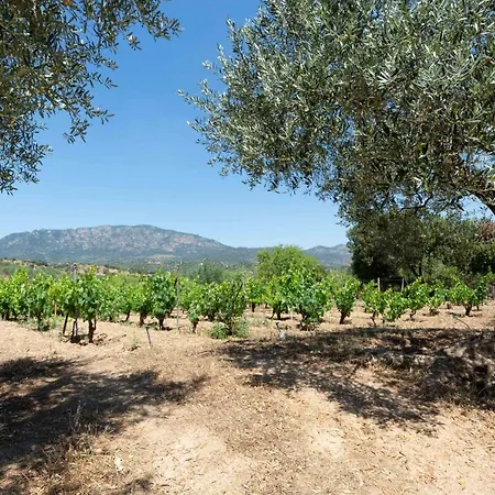 Holiday home L'oliveto