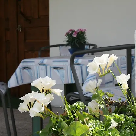 Holiday home L'oliveto Oliena