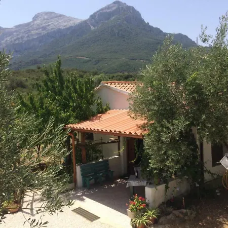 L'oliveto * Oliena
