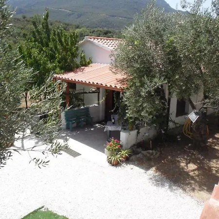 L'oliveto Holiday home