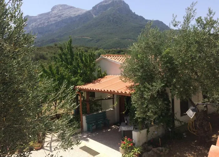 L'oliveto * 奥列纳